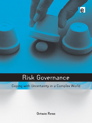 cover image of Risk Governance